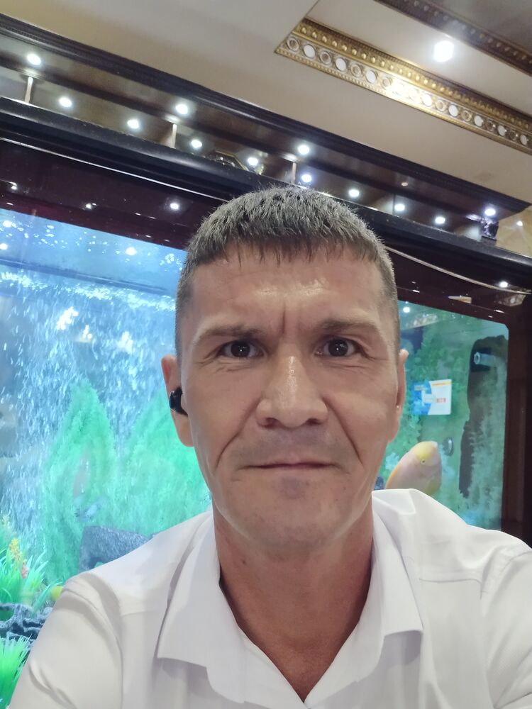  36557377  , 44 ,    