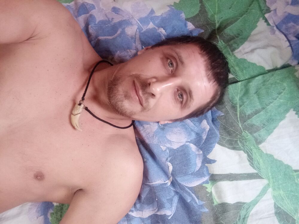  41264937  , 40 ,    