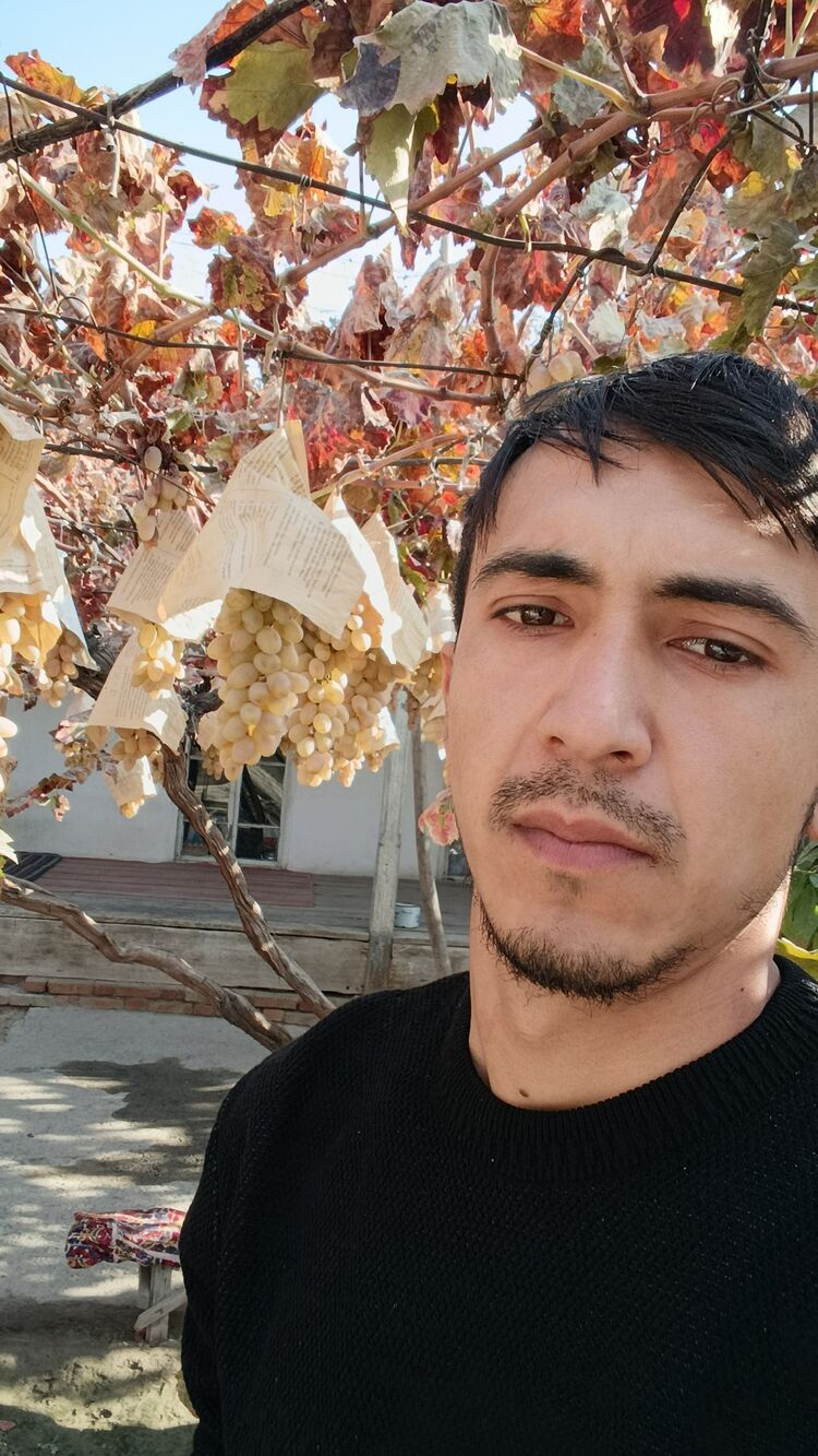 ���� 55567167 ������� Rasul, 26 ���, ���� ���������� � ���������