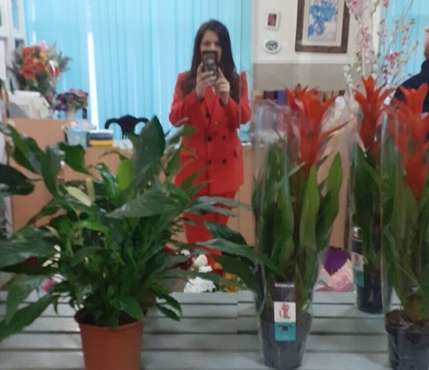  33716017  , 44 ,    
