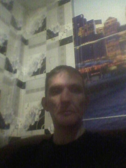  33965237  , 50 ,    -