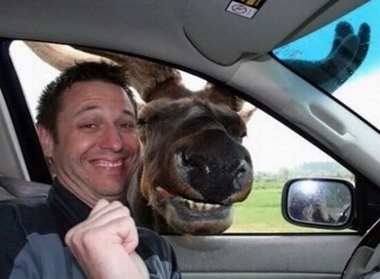 ���� 6434297 ������� ���������, 45 ���, ���� ���������� � ����������