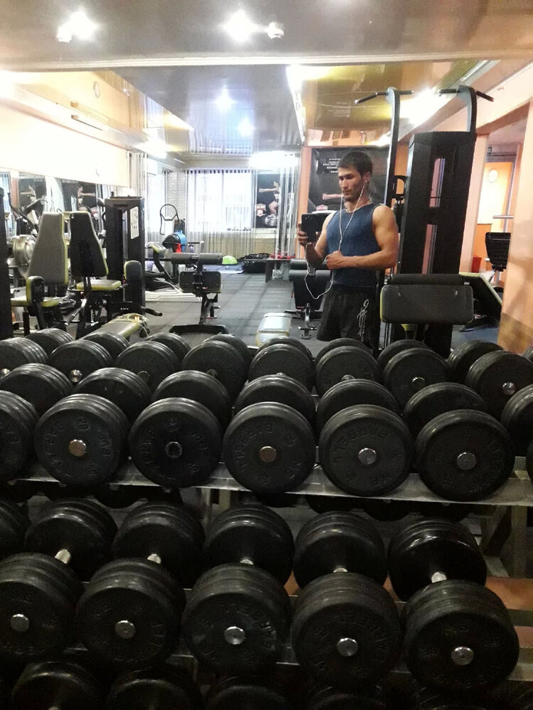  24033227  , 28 ,    -