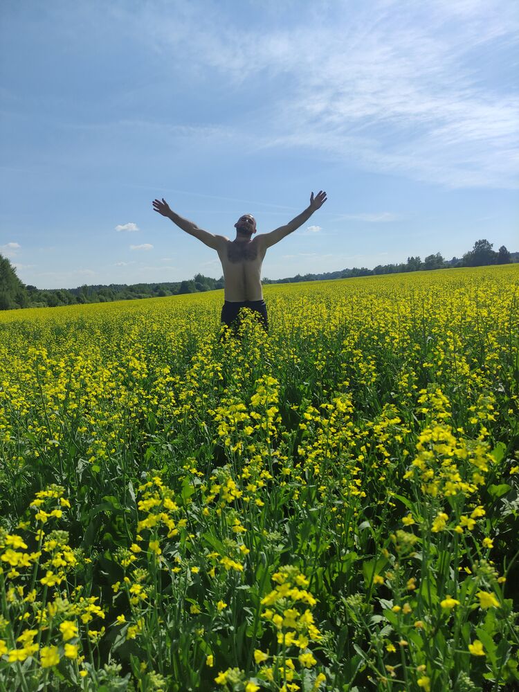 ���� 31035387 ������� �����, 32 ����, ���� ���������� � ������