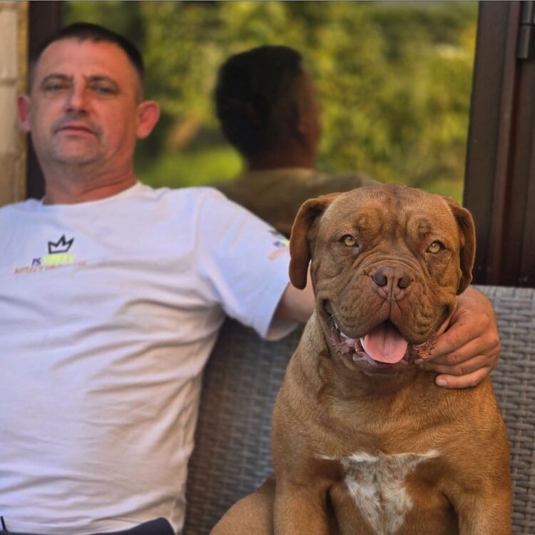 ���� 55662957 ������� ��������, 45 ���, ���� ���������� � ����������������