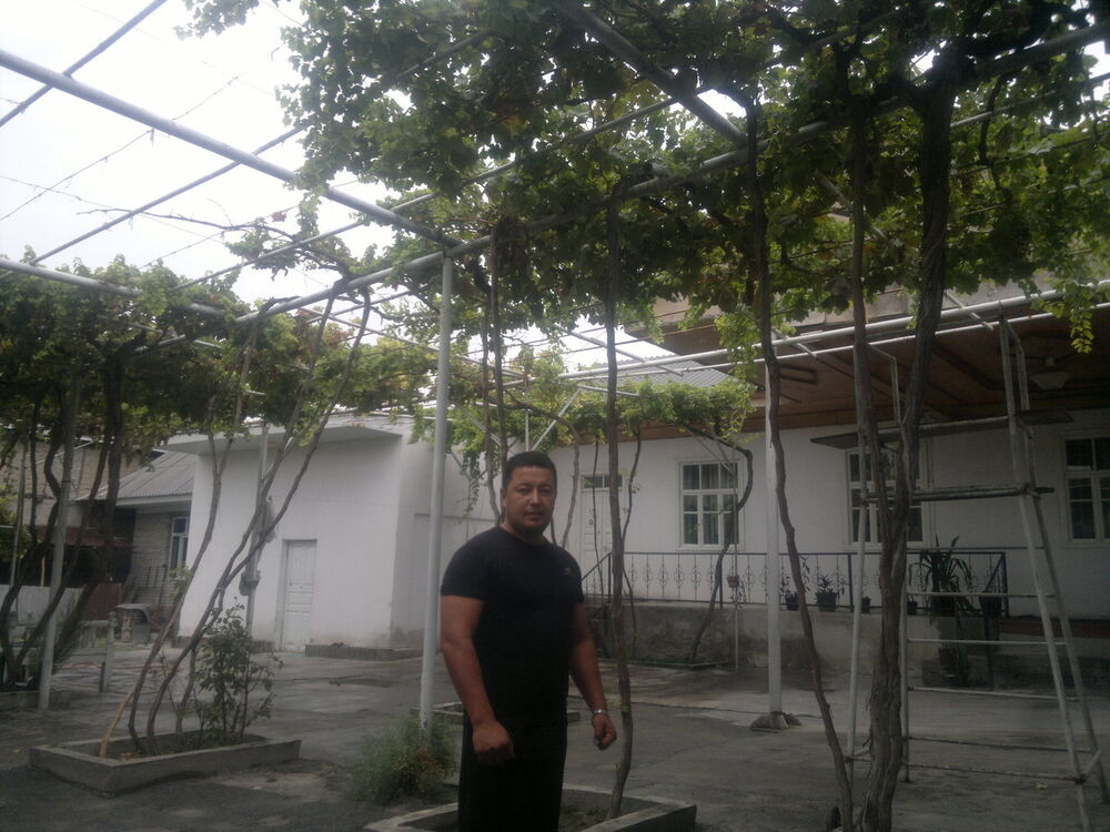  ,   , 37 ,     , c 