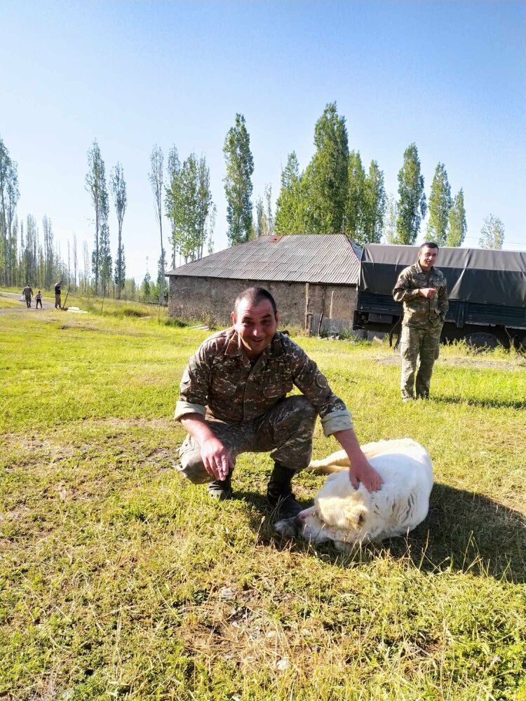 ���� 55917967 ������� �����, 47 ���, ���� ���������� � �������