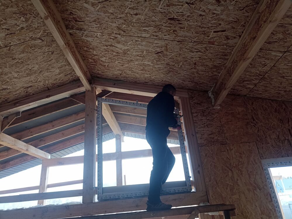 ���� 38354917 ������� �������, 32 ����, ���� ���������� � ������