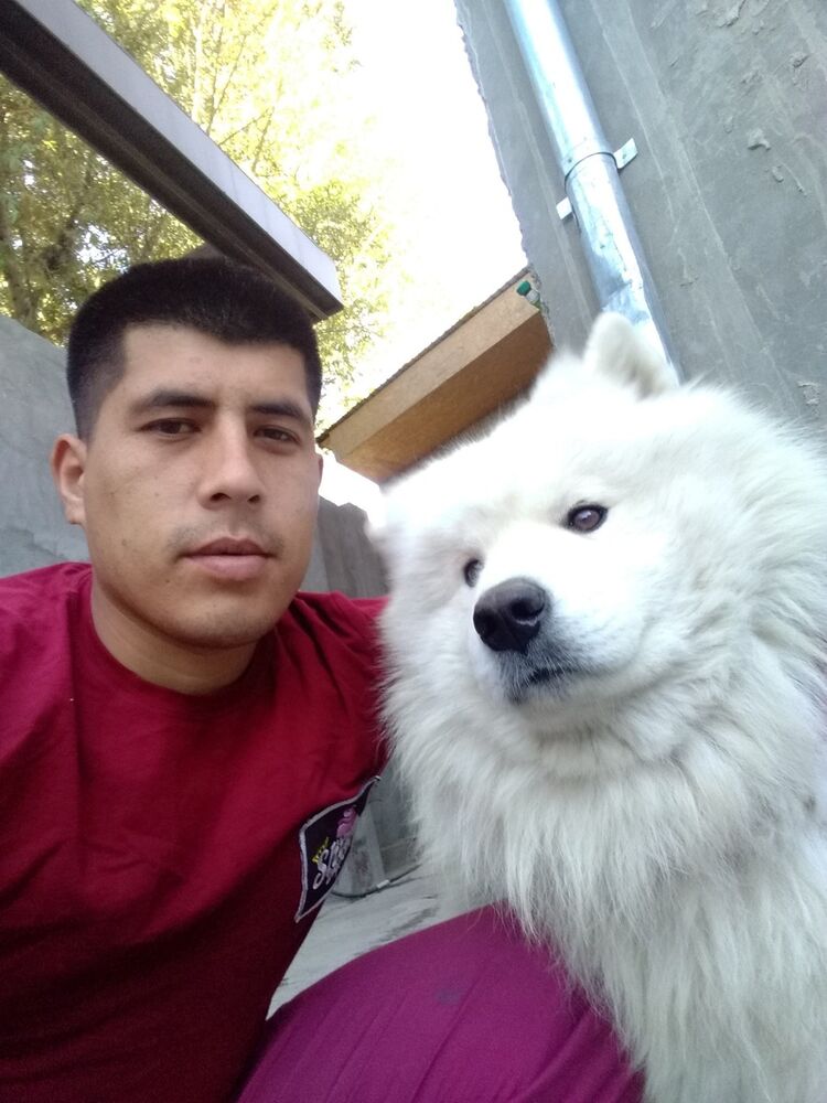 ,     , 38 ,   ,   , c 