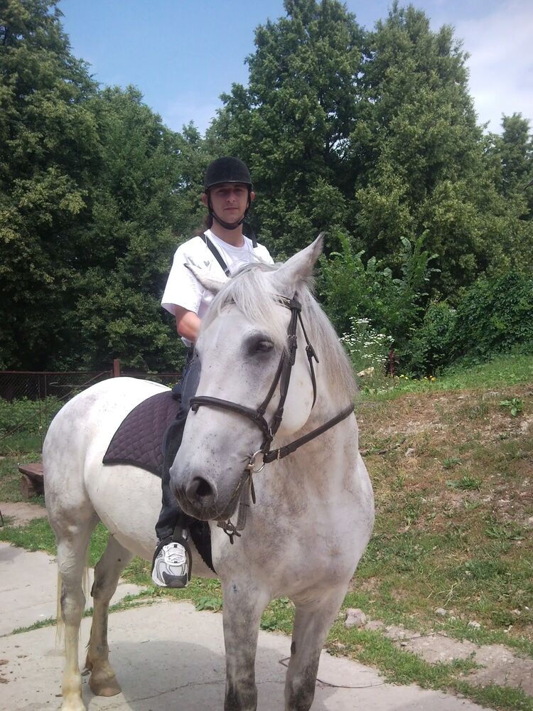  36842437  Andrey, 38 ,    