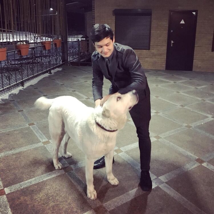 ���� 16802107 ������� ������, 30 ���, ���� ���������� � ���������