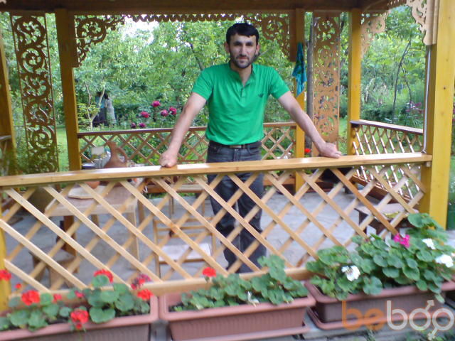 ���������� �������, ���� ������� Zaza, 48 ���, ������������ ��� ������