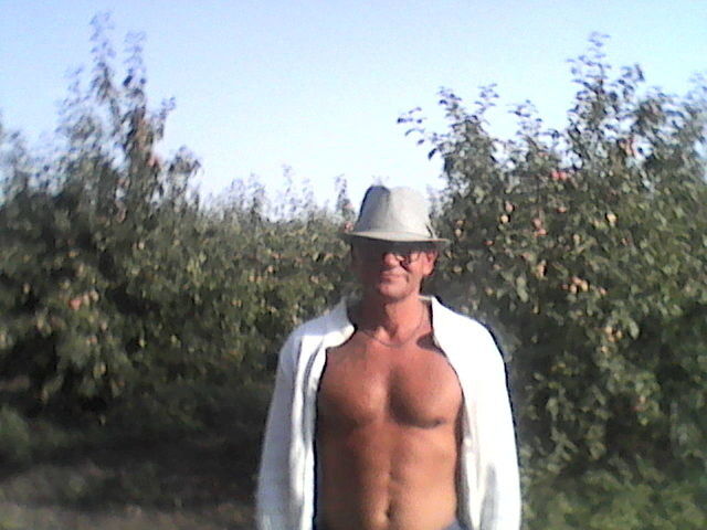  5606957  , 60 ,    
