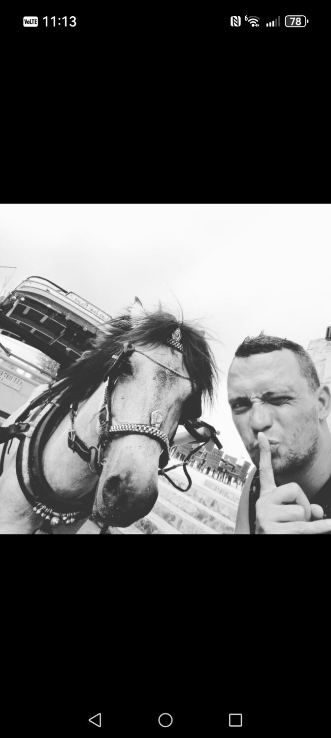 ���������� ������, ���� ������� ��������, 38 ���, ������������ ��� ������, ����� � ���������