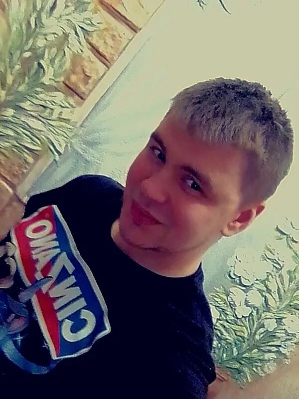  42129787  , 33 ,    