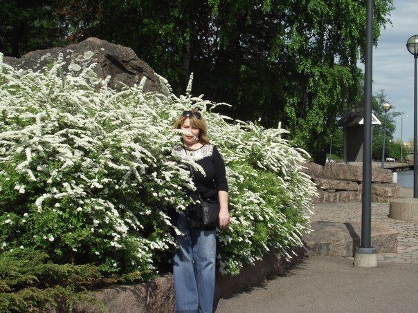  51614347  , 67 ,    -