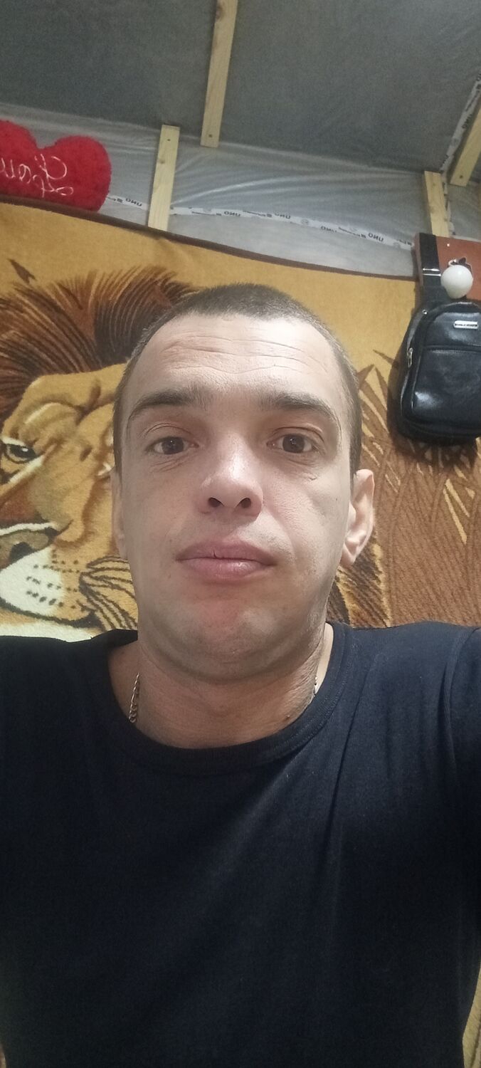  51018667  , 38 ,    