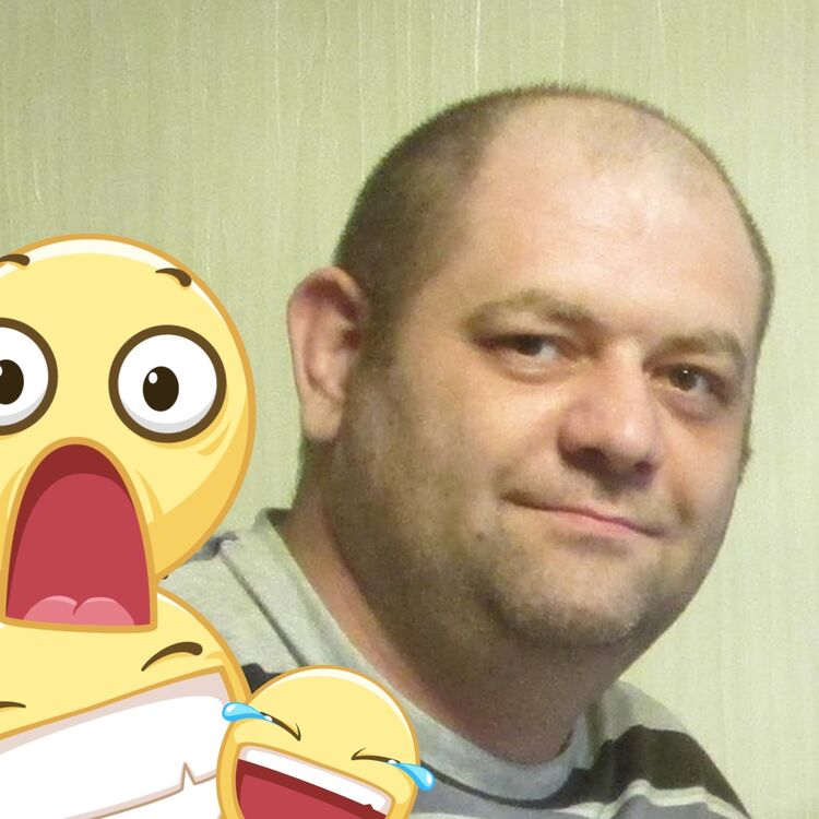 ���� 34125847 ������� ���� �������, 44 ����, ���� ���������� � ������