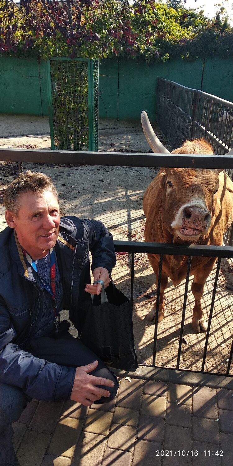 ���� 24552847 ������� ���������, 68 ���, ���� ���������� � ����������������