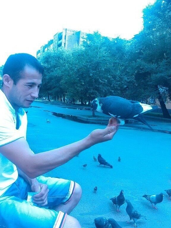 ���������� ����������, ���� ������� ����, 38 ���, ������������ ��� ������, ����� � ���������, c�������� ���������