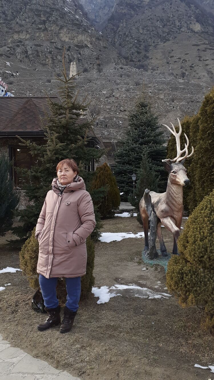 ���� 55310287 ������� ����, 65 ���, ���� ���������� � ��������