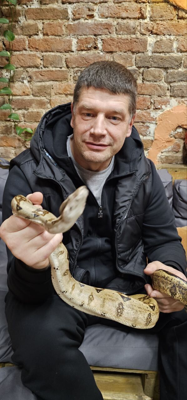 ���������� �����-���������, ���� ������� ������, 51 ���, ������������ ��� ������, ����� � ���������