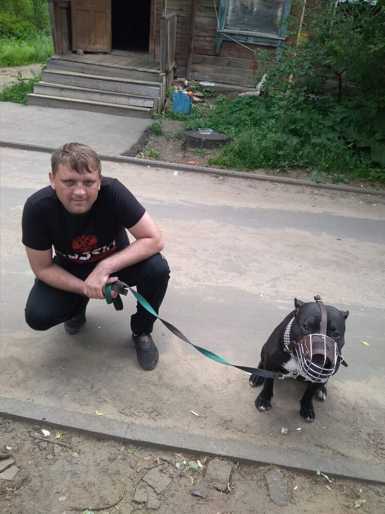 ���� 22420297 ������� ���������, 45 ���, ���� ���������� � ������