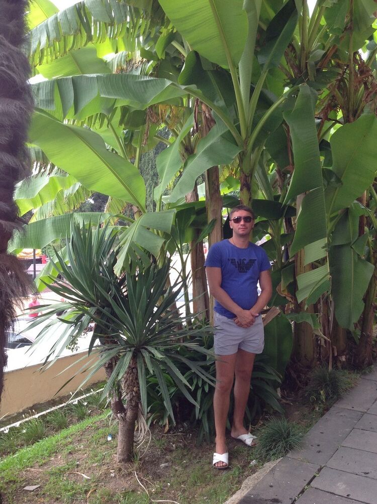 ���������� ������, ���� ������� ����, 43 ����, ������������ ��� ������, ����� � ���������, c�������� ���������