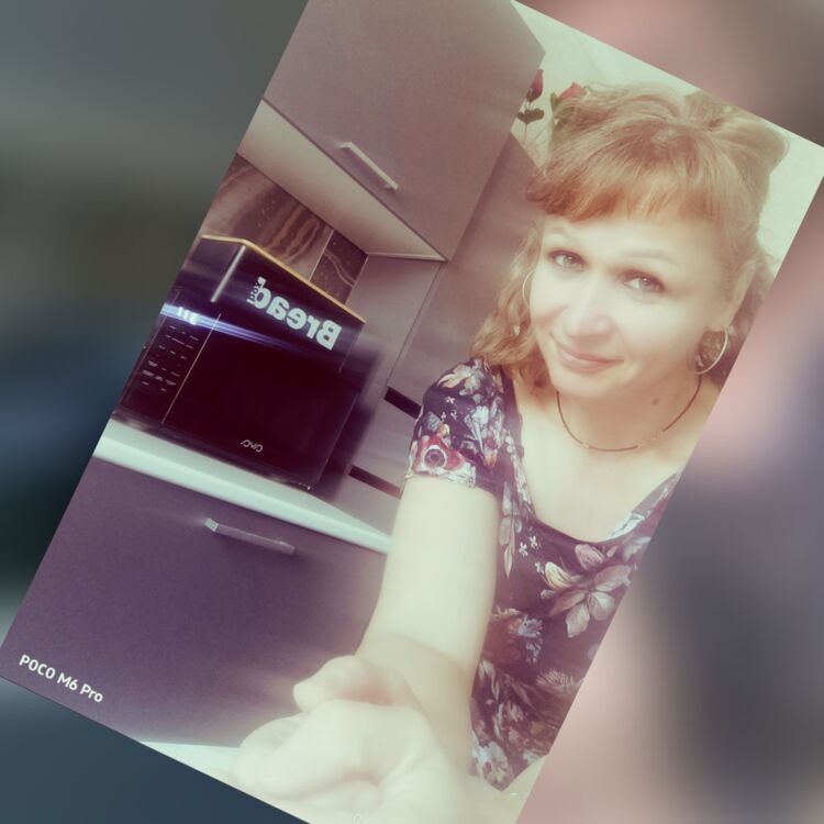  53555497  , 43 ,    -