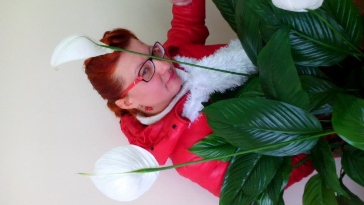 ���������� �����, ���� ������� Cveta, 52 ����, ������������ ��� ����� � ���������, c�������� ���������