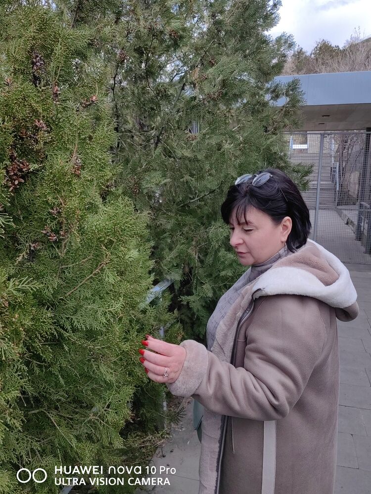 ���������� �����-���������, ���� ������� ����, 47 ���, ������������ ��� ������, ����� � ���������, c�������� ���������