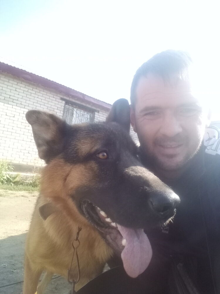 ���������� ������, ���� ������� �������, 39 ���, ������������ ��� ������, ����� � ���������, c�������� ���������