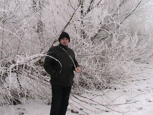 ���������� ��������, ���� ������� �������, 40 ���, ������������ ��� ����� � ���������, c�������� ���������