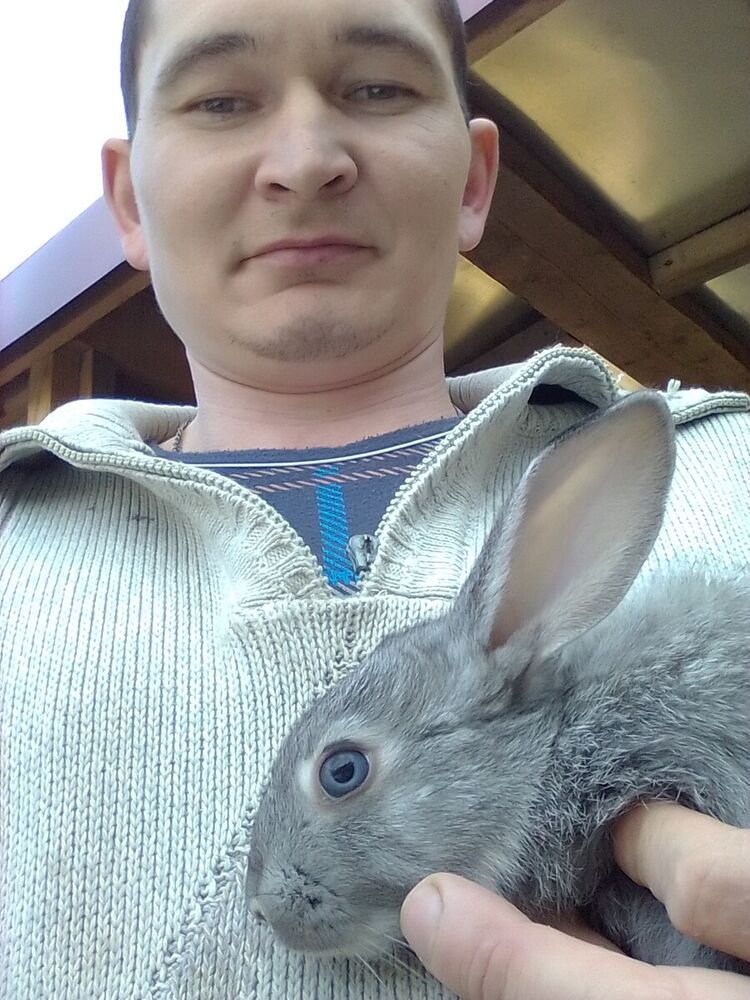 ���� 19941447 ������� ������, 39 ���, ���� ���������� � ������