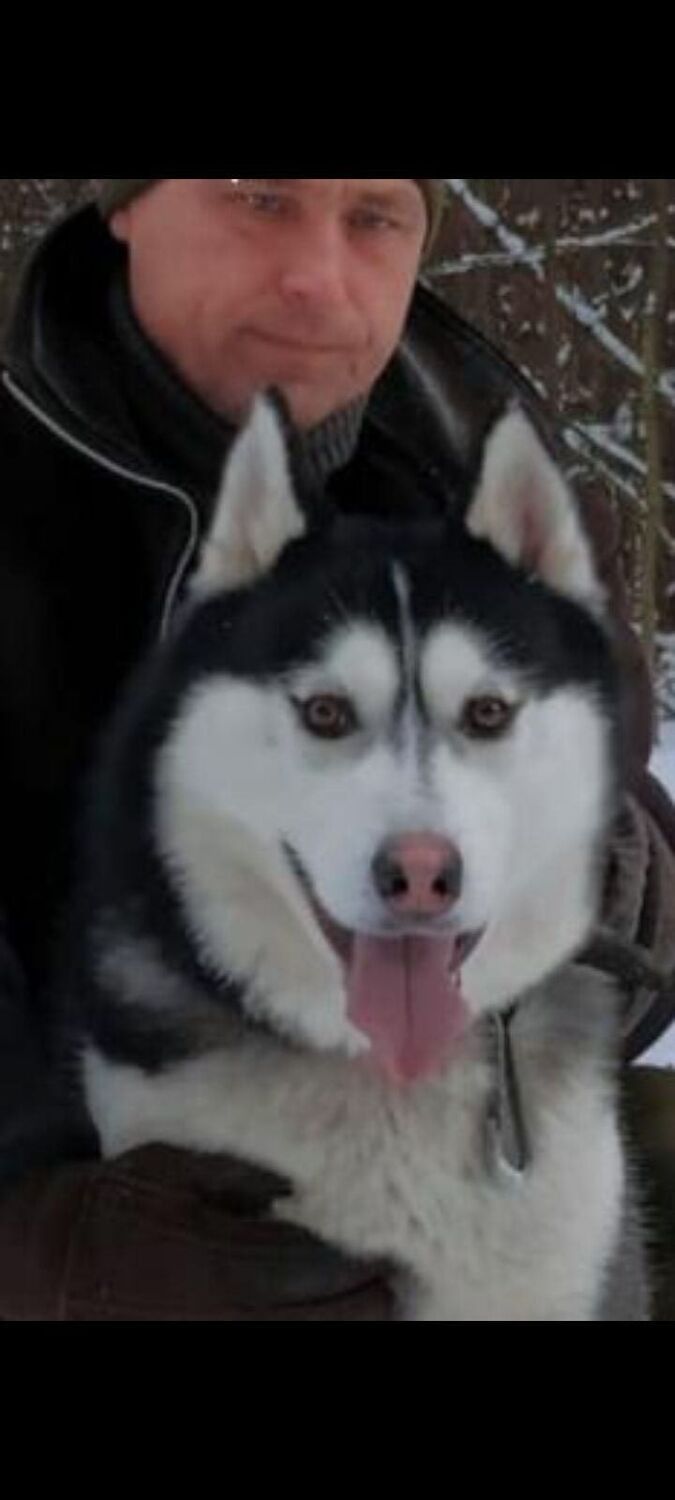 ���� 46755827 ������� ������, 50 ���, ���� ���������� � �������