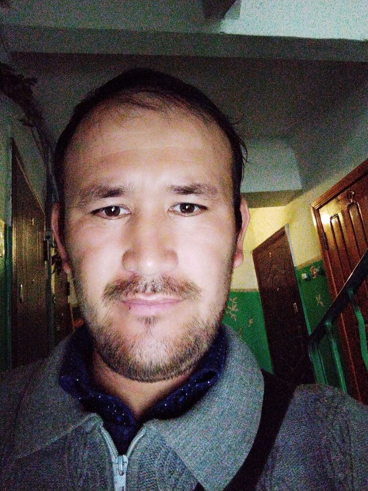  33824657  , 34 ,    