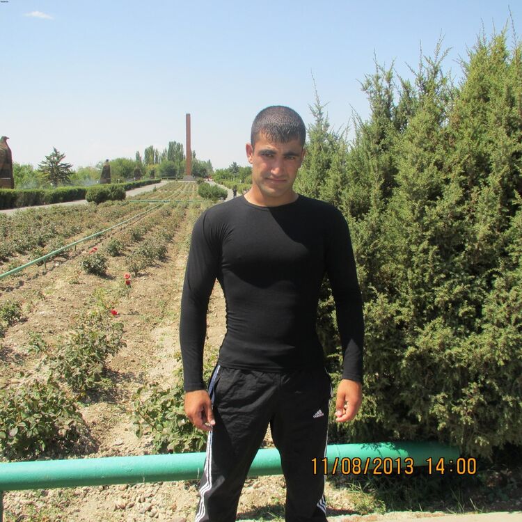  4550587  Hay txa, 33 ,    