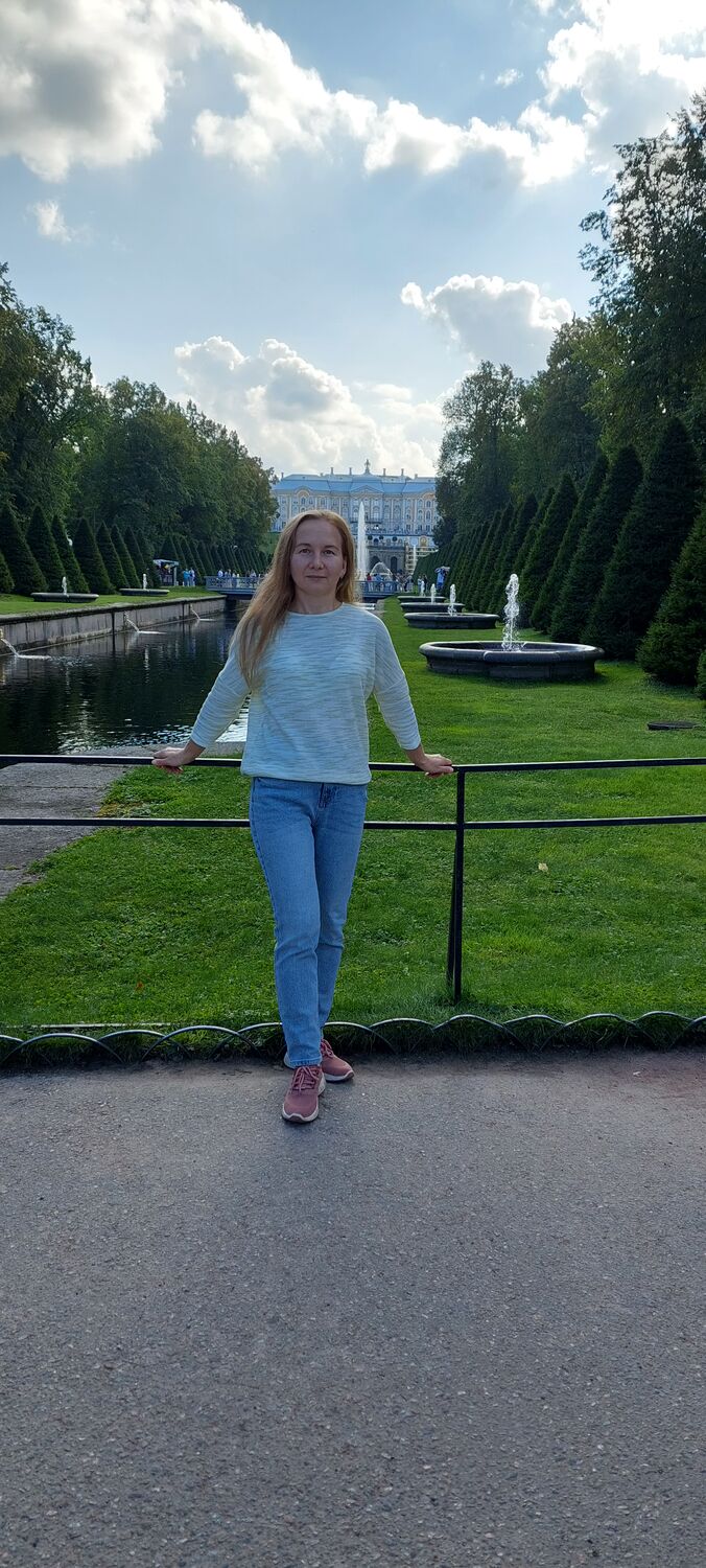  53686917  , 42 ,    -