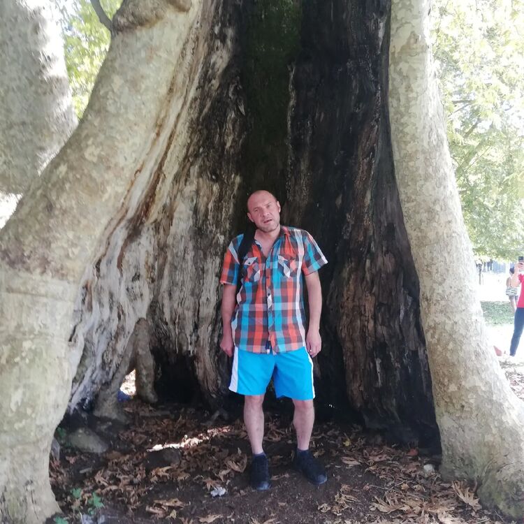  ,   , 44 ,   ,   