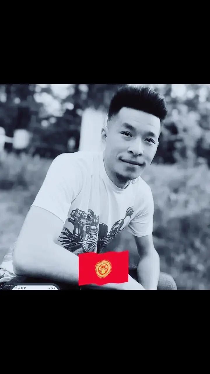  46551317  , 31 ,    