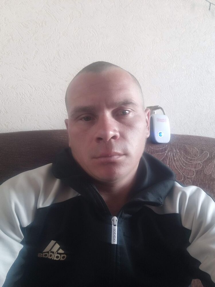  41509837  , 33 ,    