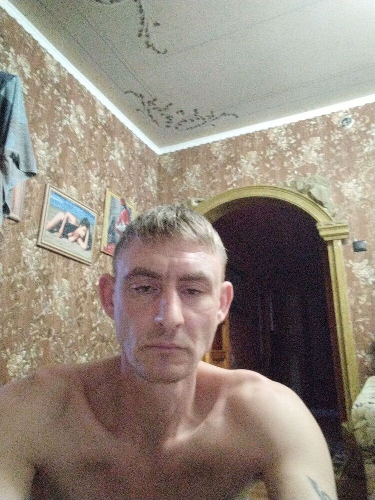  49133527  , 40 ,    
