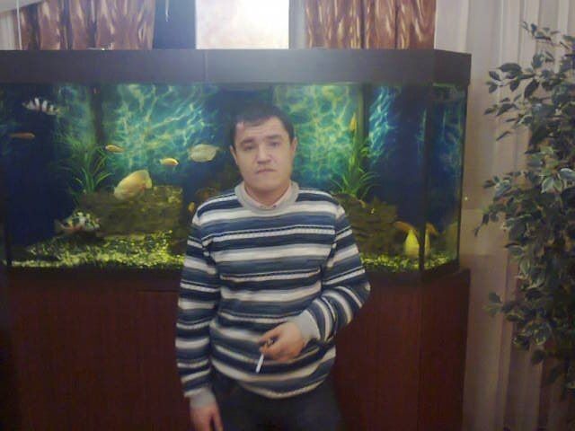  ,   , 45 ,   