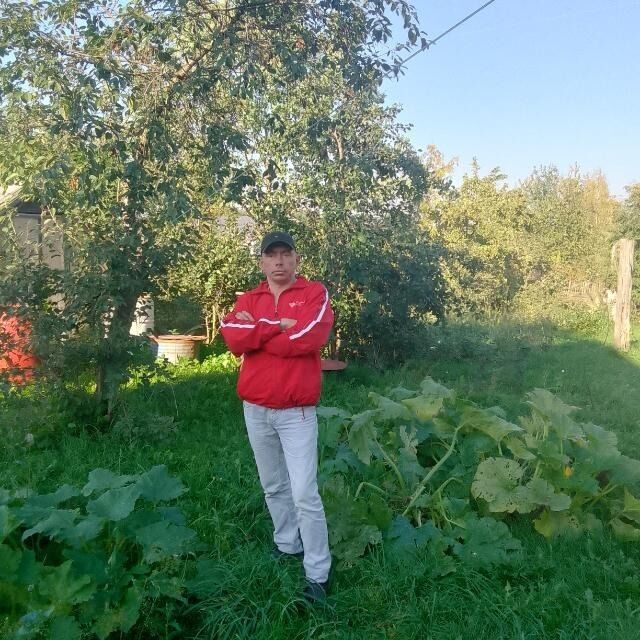  ,   , 38 ,   c 