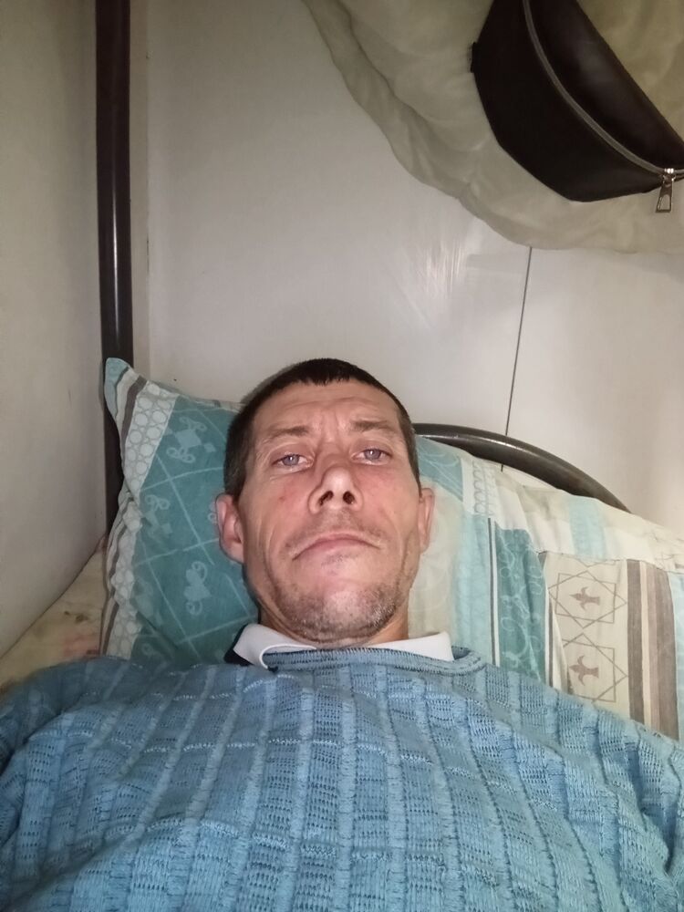  43831587  , 44 ,    