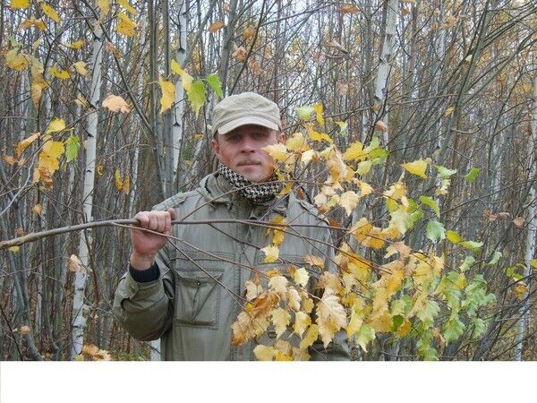 ���� 55750157 ������� �������, 56 ���, ���� ���������� � ������������