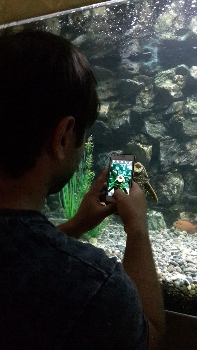 ���� 6167627 ������� ����, 37 ���, ���� ���������� � ��������