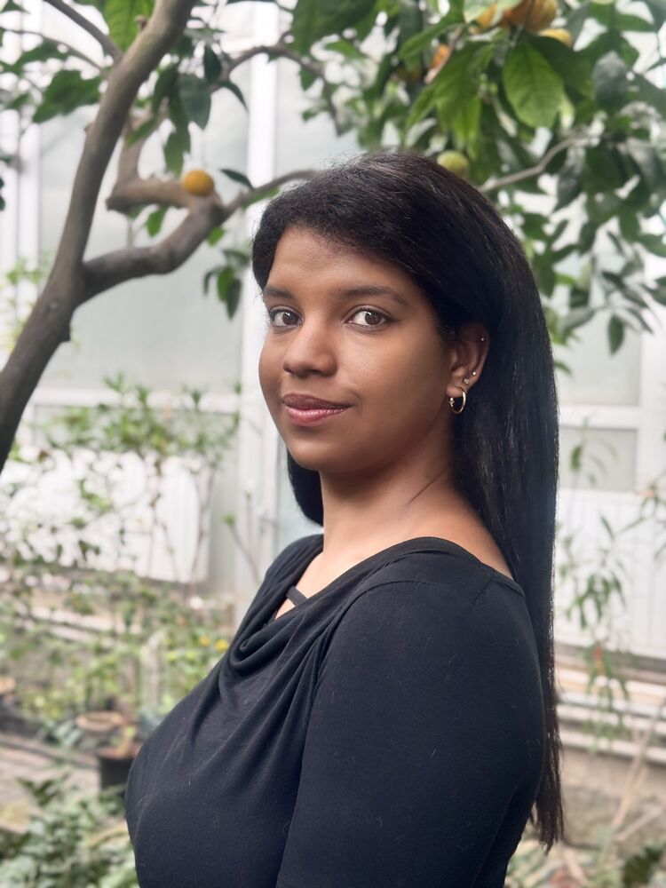  ,   , 26 ,     , c , 