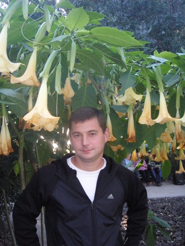 ���������� �����������, ���� ������� ����, 52 ����, ������������ ��� ������