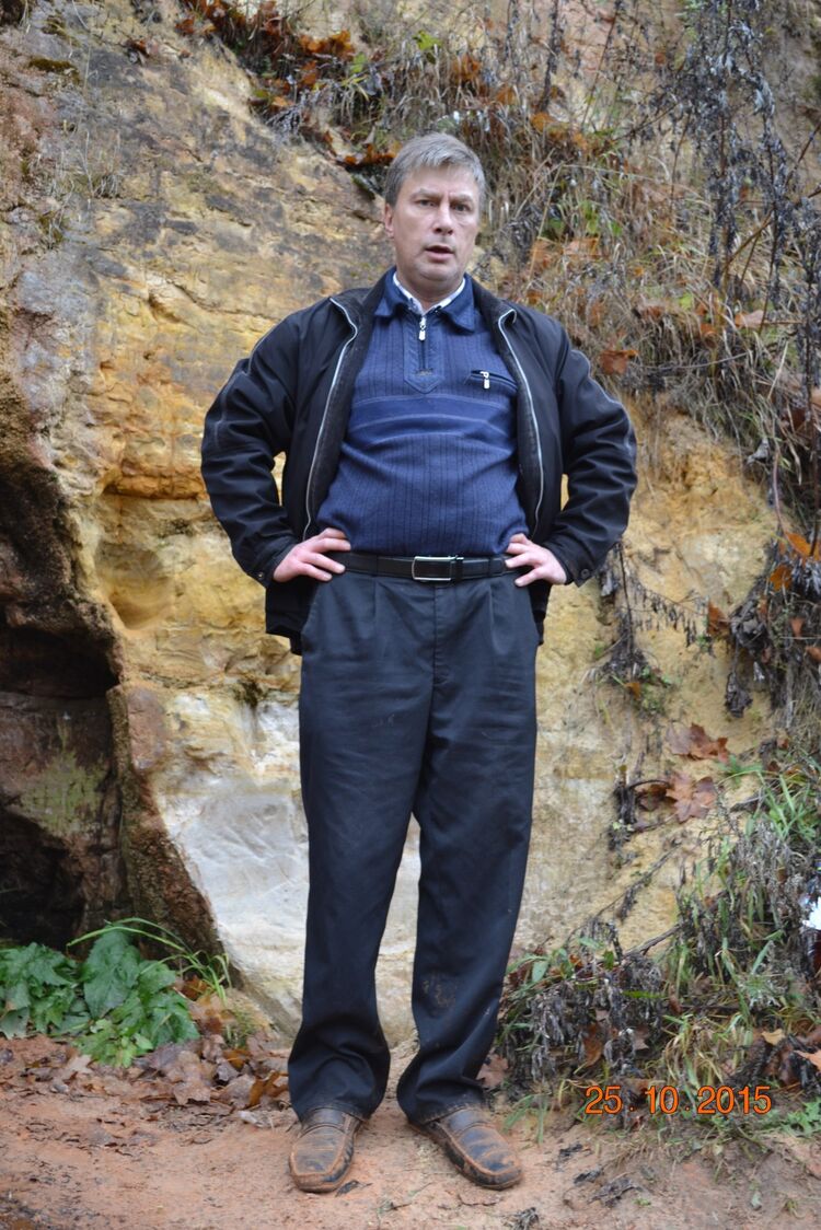  31516597  , 54 ,    -